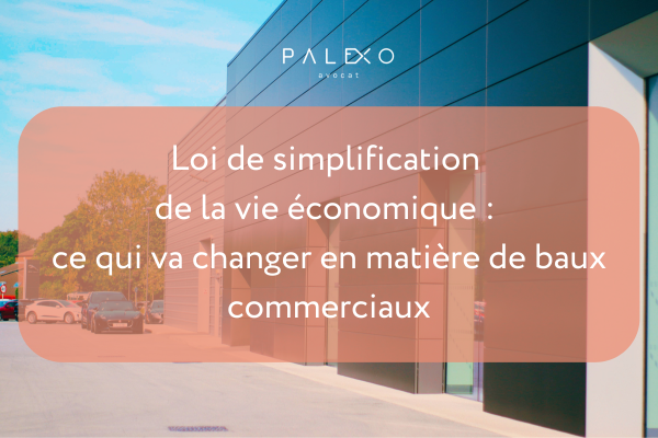 loi de simplification de la vie économique